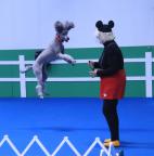 Judith Stoodley's Avatar