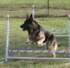 Deborah Grodecka's Avatar