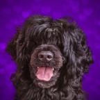 Lynda Ziegenhagel's Avatar