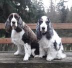 Laura Burns's Avatar