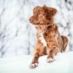 Chelsey Protulipac's Avatar