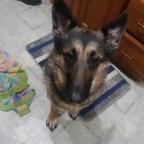 Tina Proctor's Avatar