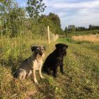 Andrea Ferguson Jones's Avatar