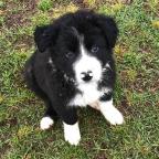 Julie Davies's Avatar