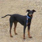 Marilyn Strout's Avatar