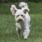 Connie Gavin's Avatar