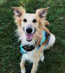 Jamie Ohman's Avatar