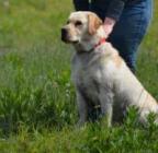 Julie Marquis's Avatar